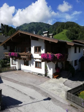 Ferienwohnung Innerhofer Hollersbach Im Pinzgau